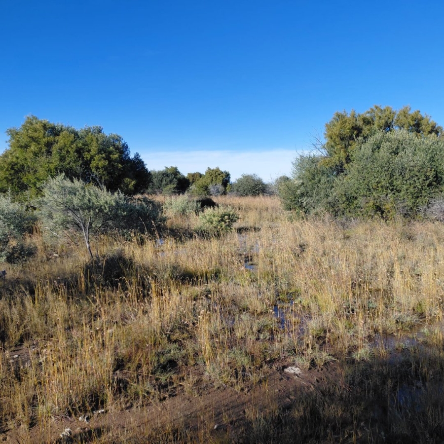 Commercial Property for Sale in Barkly West Rural Northern Cape
